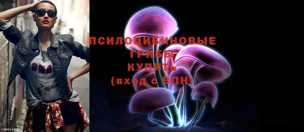 дмт Верхний Тагил