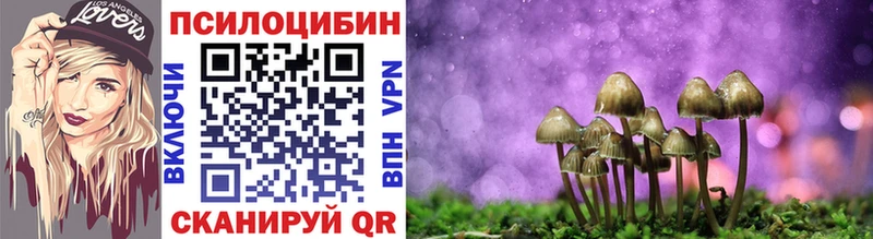 Галлюциногенные грибы прущие грибы  купить наркотики сайты  Грязи 